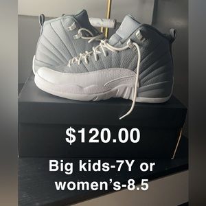 Jordan 12 stealth